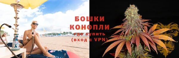 прущие грибы Белокуриха