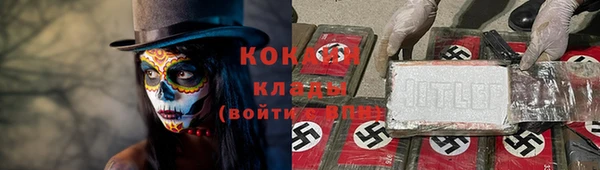 прущие грибы Белокуриха
