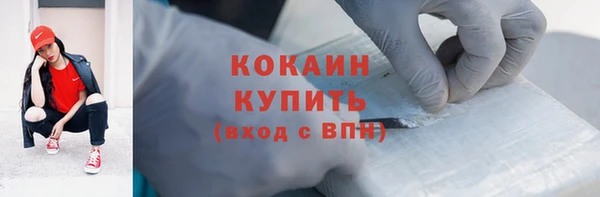 прущие грибы Белокуриха