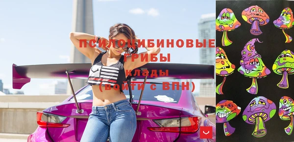 дмт Белая Холуница