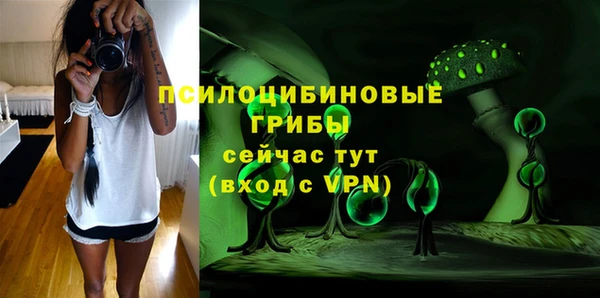 первитин Богданович