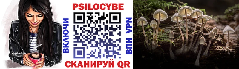 Галлюциногенные грибы Magic Shrooms  Катав-Ивановск 