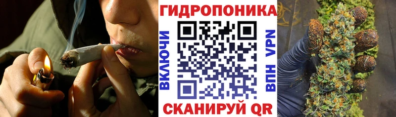 Бошки марихуана сатива  как найти закладки  Катав-Ивановск 